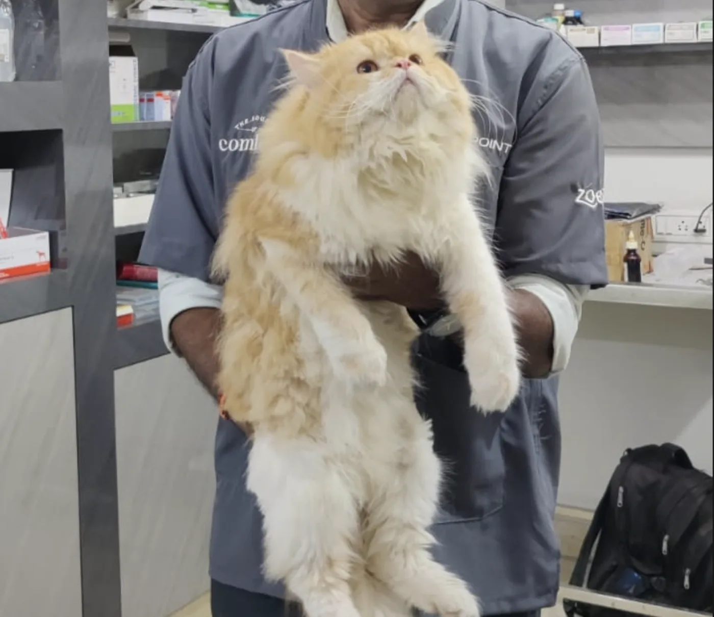 Doctor with a cat at Krishna Pet Speciality Clinic